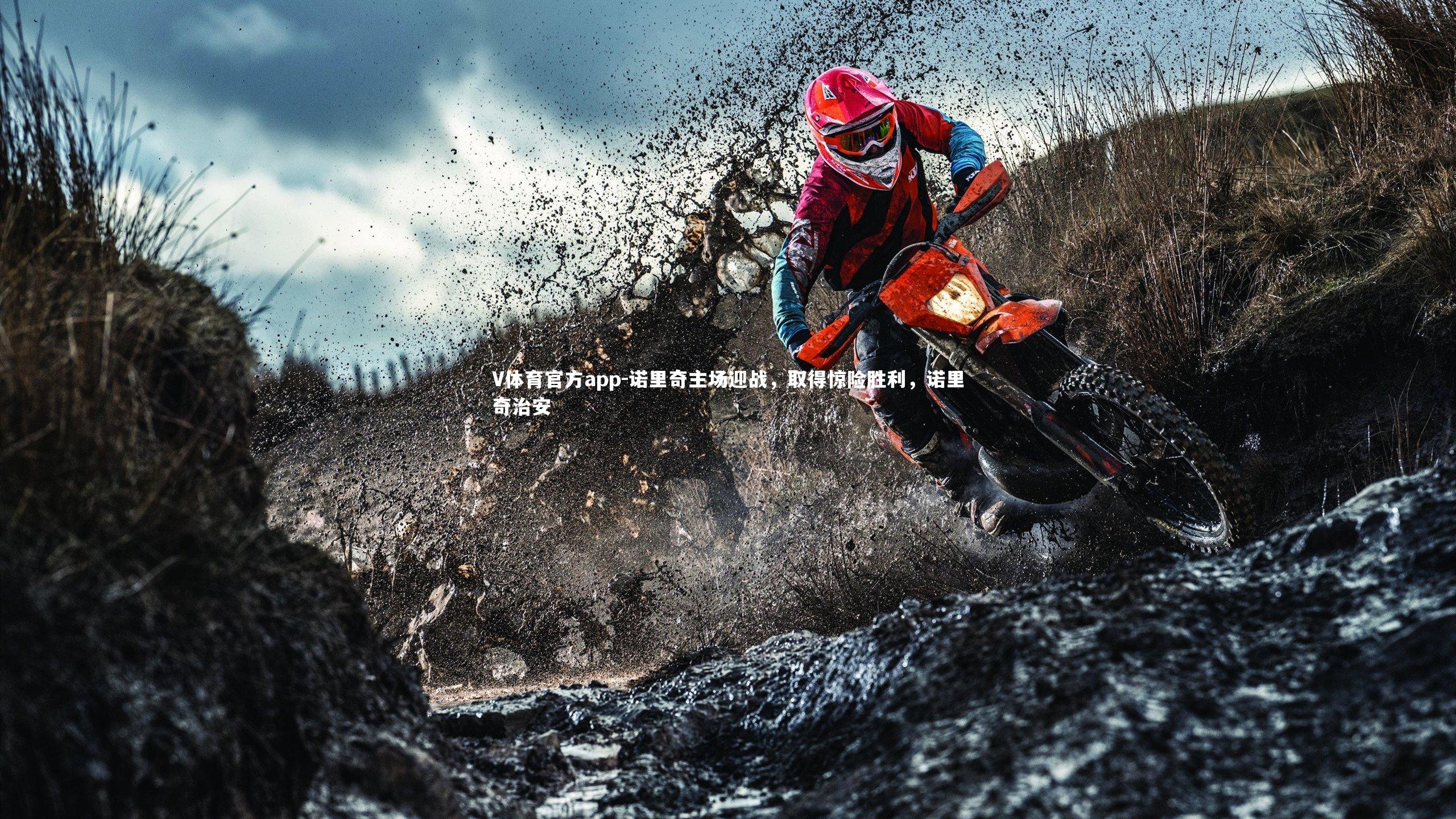 V体育官方app-诺里奇主场迎战，取得惊险胜利，诺里奇治安