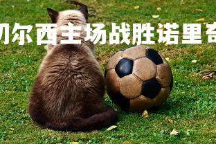 V体育官方app-切尔西主场战胜诺里奇，稳住前四席位，切尔西对战